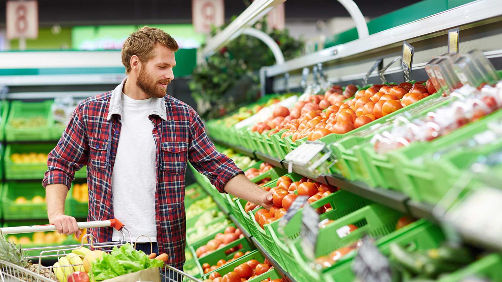 Las verduras de hoja y las hortalizas de invernadero pueden contener percloratos